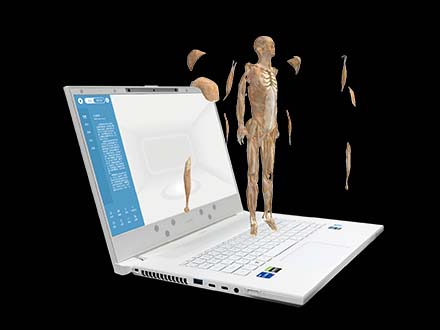 MR Human Anatomy Software