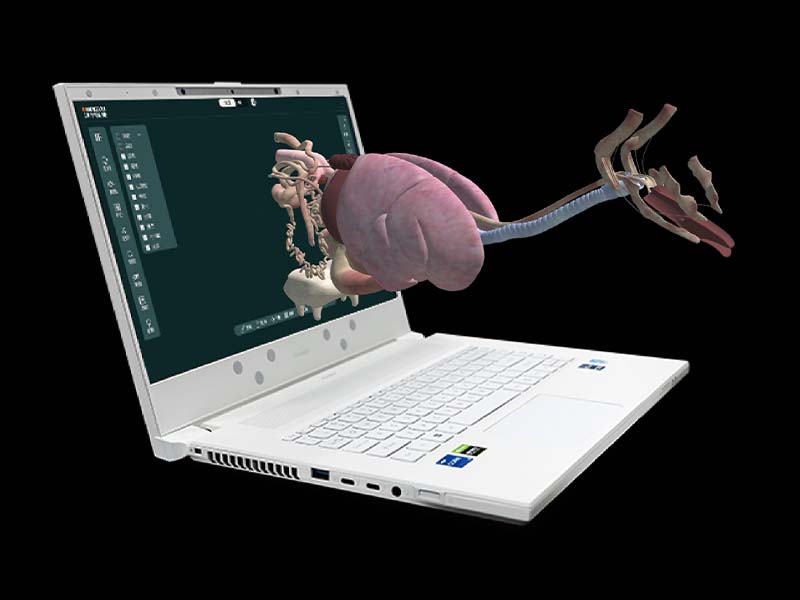 MR Animal Anatomy Enhanced Interactive System