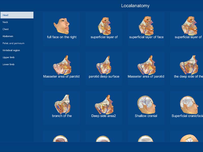 human anatomy software for sale