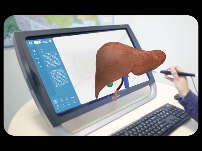 MR Human Anatomy Software for Education