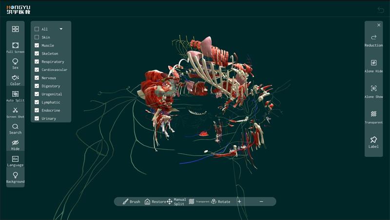 animal anatomy software