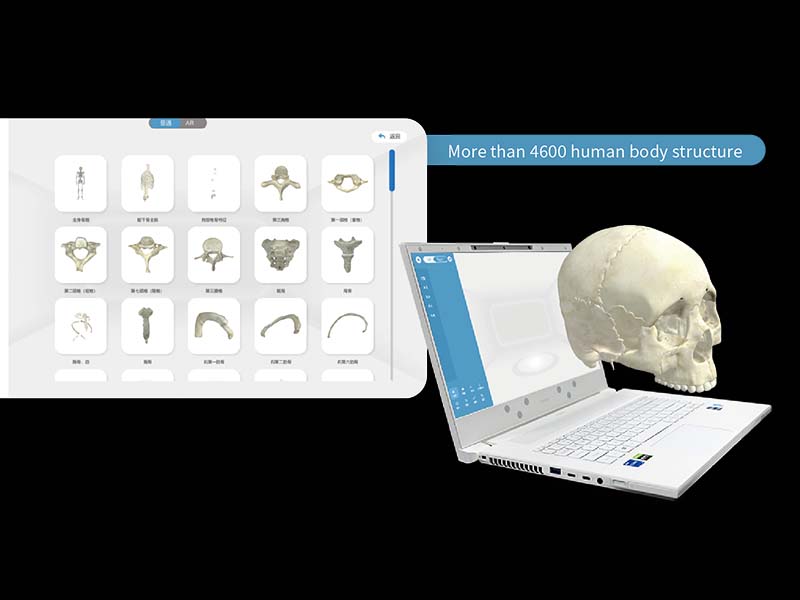 MR Human Anatomy 3D Enhanced Interactive System