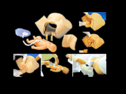 Advanced integrated training delivery skill model