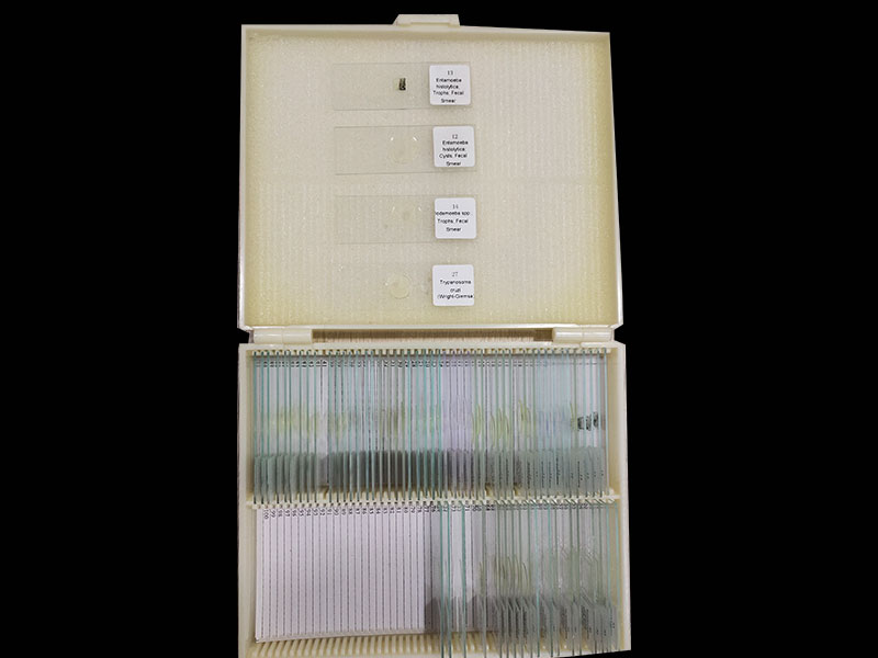 Microscope slides price