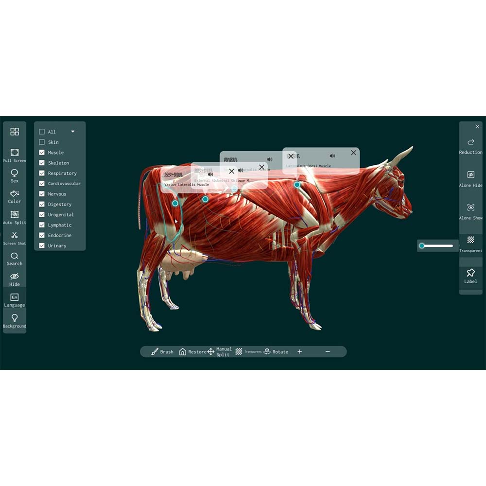 animal anatomy software