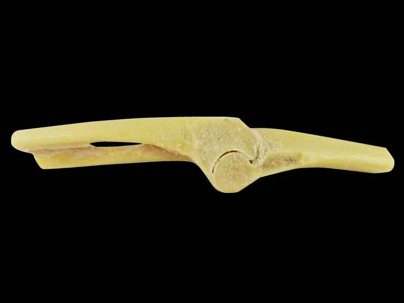 Elbow joint for sale
