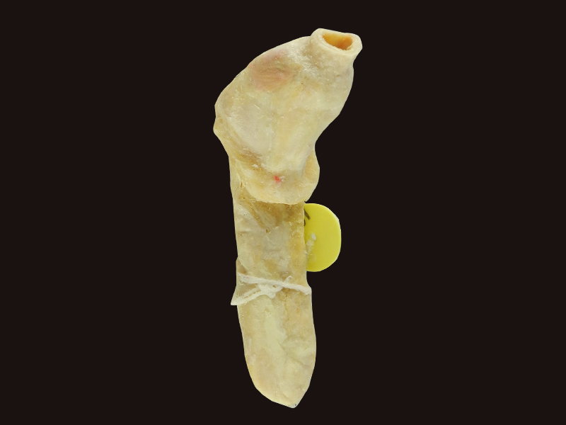 specimen for sale