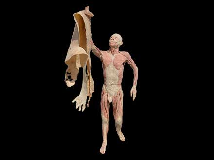 leadership specimen