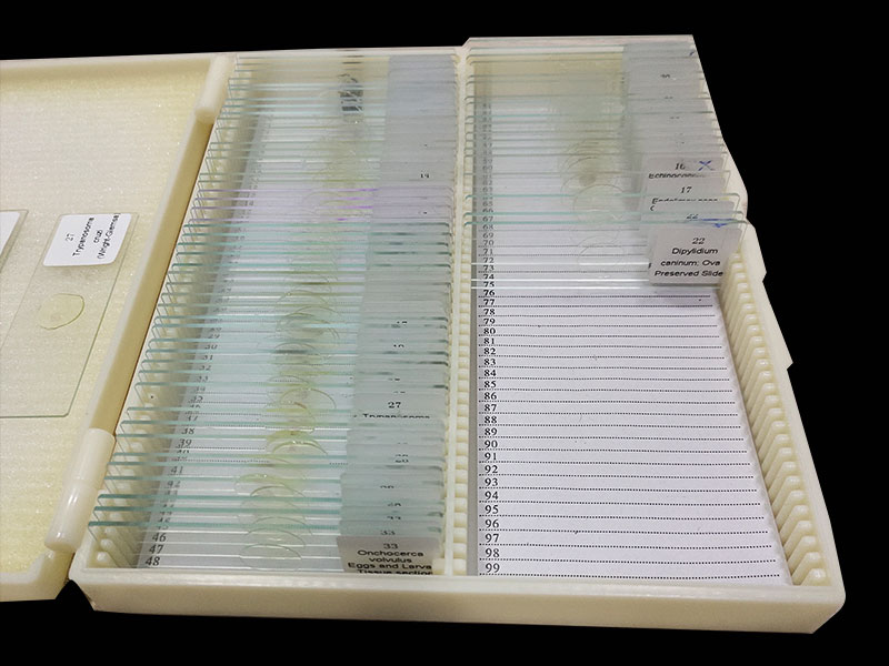 microscope slides  for sale
