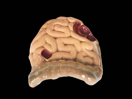 soft silicone large and small intestine model